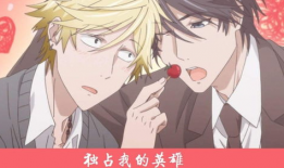 独占我的英雄漫画,命运交织的荣耀之战