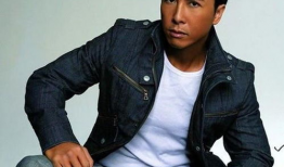 甄子丹主演的电视剧,武侠传奇，英雄本色