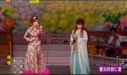 李琳版文成公主电视剧,李琳演绎千古佳话