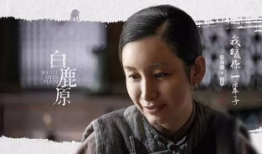 白鹿原 电视剧,历史变迁中的家族传奇