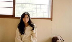 日麻豆,探寻日本麻将文化的魅力与精髓