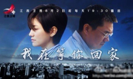 电视剧回家,温情岁月里的亲情纠葛与人生抉择