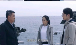 国安反间谍电视剧,揭秘反间谍战线上的生死较量