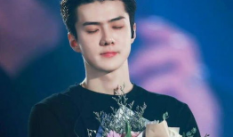 吴世勋电视剧,演绎传奇人生，电视剧中的璀璨星光