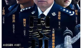 国安反间谍电视剧,揭秘反间谍战线上的生死较量