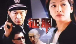 征服电视剧全集,权谋与爱情的巅峰对决