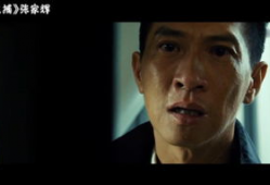 大追捕电视剧,生死较量，正义终将胜利