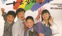 十六岁的花季电视剧,十六岁花季的青春旋律