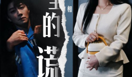 谎言的电视剧,电视剧谎言剧情概述