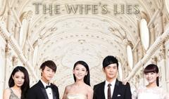 谎言的电视剧,电视剧谎言剧情概述