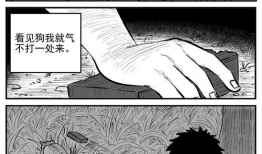 猎奇漫画,猎奇漫画中的禁忌世界揭秘