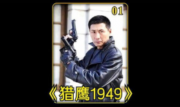 猎鹰电视剧,揭秘特工世界，揭秘猎鹰传奇！