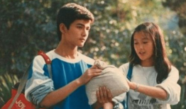 十六岁的花季电视剧,十六岁花季的青春旋律