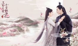 三生三世十里桃花电视剧主题曲,电视剧主题曲情感之旅