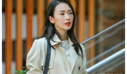 蔡文静电视剧,从平凡女孩到璀璨明星的蜕变之路