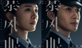 国安反间谍电视剧,揭秘反间谍战线上的生死较量