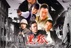 黑狐 电视剧,谍影重重，暗战风云
