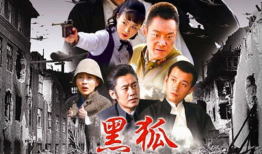 黑狐 电视剧,谍影重重，暗战风云