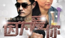 因为爱你电视剧,跨越时空的深情守候