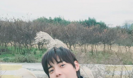 郑帝元电视剧,宫廷风云中的传奇人生