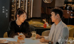 电视剧我们的婚姻,情感纠葛与家庭抉择的写实画卷