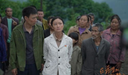 在希望的田野上电视剧,描绘农村改革与发展壮丽画卷