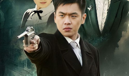 黑狐 电视剧,谍影重重，暗战风云