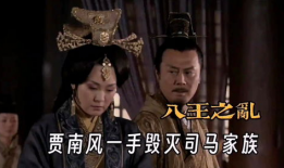 八王之乱电视剧,权谋倾轧下的王朝悲歌