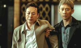 安欣是什么电视剧,正义之光，守护者传奇