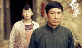 白鹿原 电视剧,历史变迁中的家族传奇