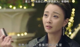 女大三抱金砖电视剧,跨越年龄的真爱传奇