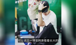 杨凯是什么电视剧,揭开神秘特工的传奇人生