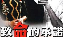 承诺电视剧,情感纠葛与命运抉择的悲喜人生