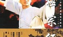太极宗师电视剧,武林传奇，一代宗师的风华岁月