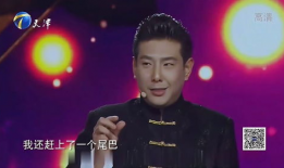 杨凯是什么电视剧,揭开神秘特工的传奇人生