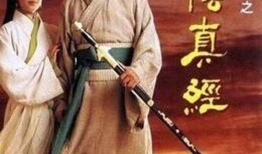 武侠电视剧,剑影侠骨，情仇恩怨