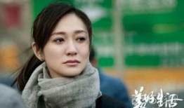 李小冉电视剧,演绎人生百态，诠释情感纠葛