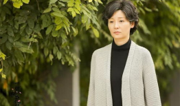 徐帆演过的电视剧,电视剧作品回顾