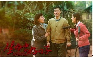 生命中的好日子电视剧全集观看,重温人生美好时光，感悟岁月如歌